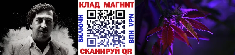 Где купить Владивосток КОКАИН Меф ГАШ Alpha PVP Псилоцибиновые грибы Каннабис