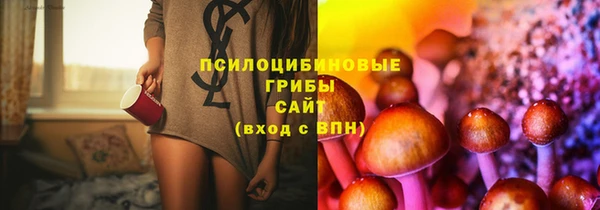 apvp Алексин