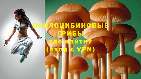 apvp Алексин