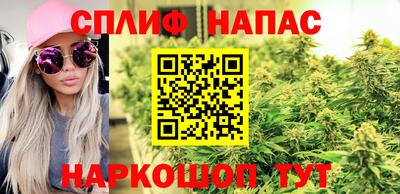 МДПВ Балашиха
