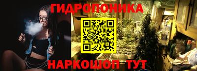 шишки Балаково