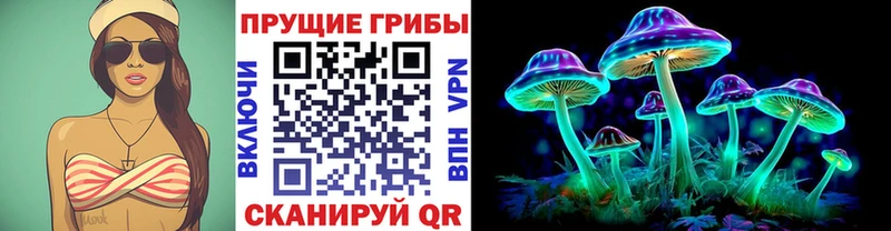 Псилоцибиновые грибы Cubensis  наркота  Владивосток 