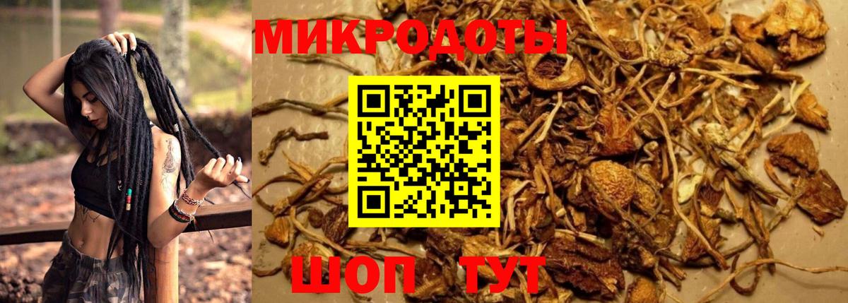 Псилоцибиновые грибы ЛСД  Псилоцибиновые грибы прущие грибы  Владивосток  Вход с VPN 