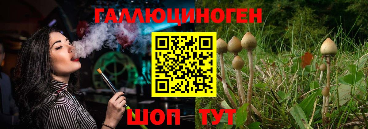 Псилоцибиновые грибы GOLDEN TEACHER Владивосток